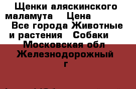 Щенки аляскинского маламута  › Цена ­ 15 000 - Все города Животные и растения » Собаки   . Московская обл.,Железнодорожный г.